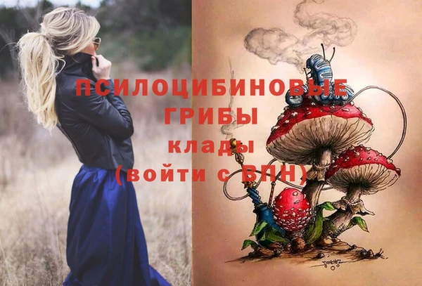 бутират Верхний Тагил