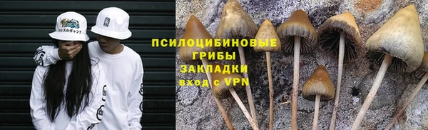 бутират Верхний Тагил