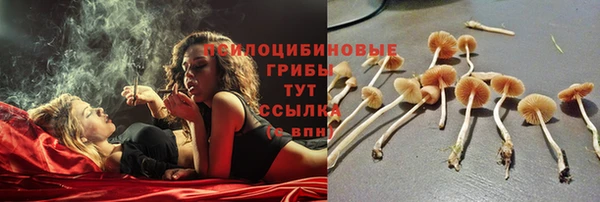 первитин Верея